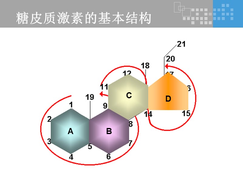 氟轻松是如何发挥其药理作用的？